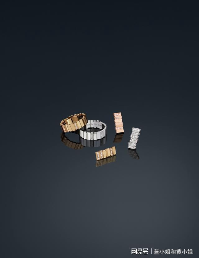 R 珠宝 瑰丽自然与高级订制开元棋牌appGEM DIO(图2)